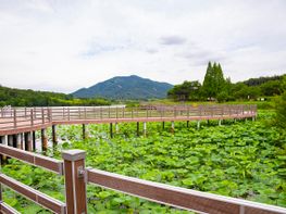 익산시, 탄소 중립 ‘친환경 안전도시’ 조성 기사 이미지