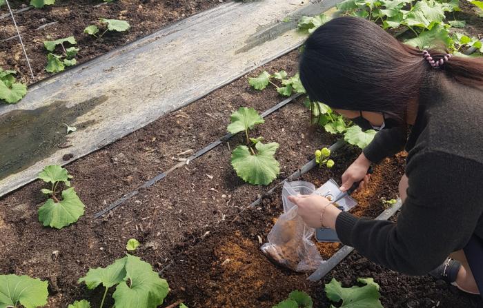 순창군, 무료 토양검정 서비스로 고품질 농산물 생산 지원 기사 이미지