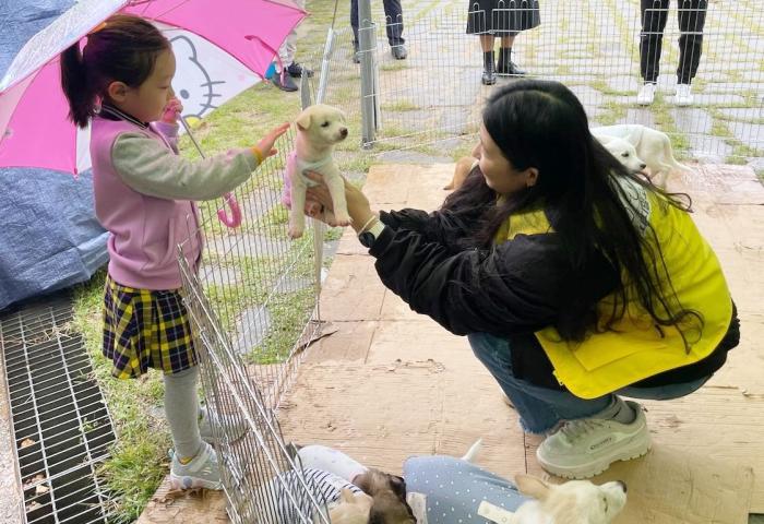 정읍시, 유기동물 입양 지원 확대… 입양 물품·지원금·펫보험 혜택까지 기사 이미지