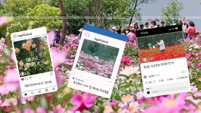 임실군 봄꽃 SNS 콘텐츠‘대박’…한 달 만에 30만 뷰 돌파 기사 이미지