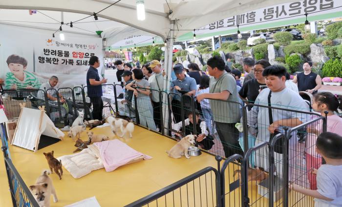 임실N치즈축제 반려 산업 홍보관, 유기견 사랑의 입양 큰 성과 기사 이미지