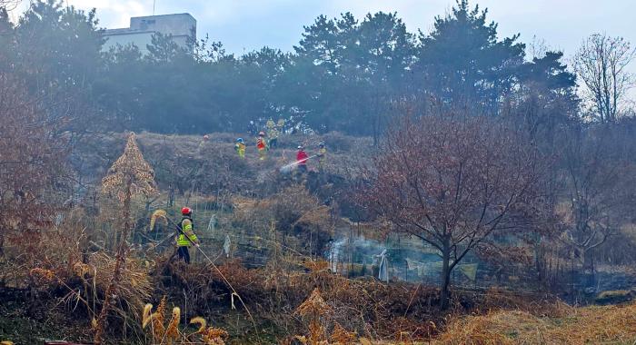 건조한 날씨 속 주말 사이 산불 8건 출동… 정읍시 “경각심 절실” 기사 이미지