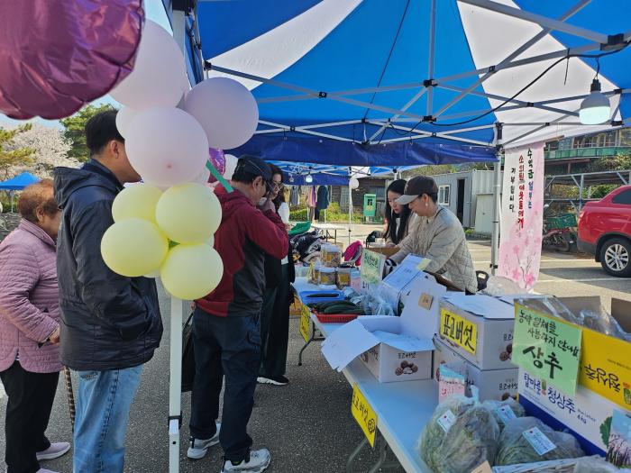 웅포벚꽃축제, 이웃사랑 실천으로 이어져 기사 이미지