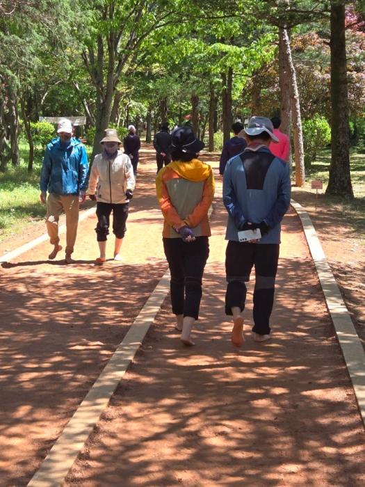 김제시, 맨발로 걷는 힐링 도시로 기사 이미지