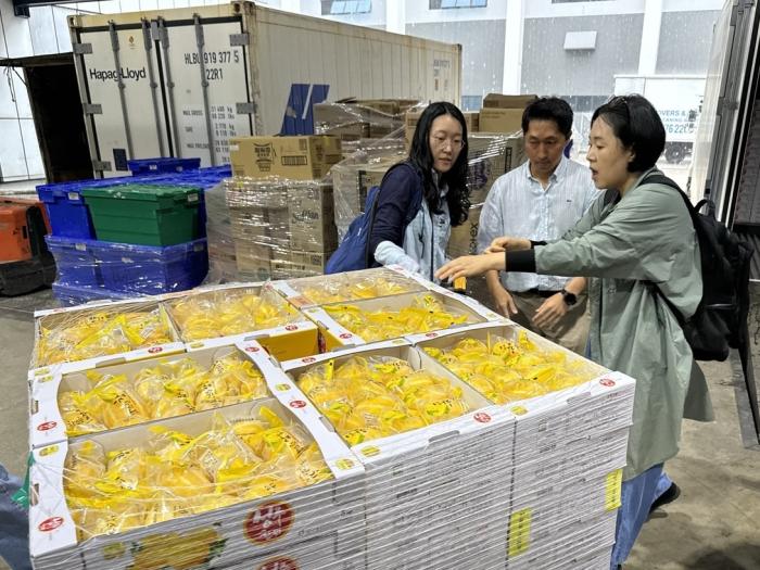 "농산물 선박 수출 늘린다" 기사 이미지