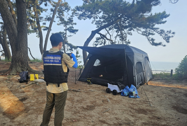 변산반도국립공원,  여름 성수기 야간 특별단속 실시 기사 이미지