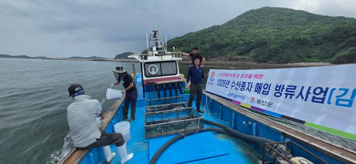 부안군, 연안 수산자원 조성 수산종자 방류 완료 기사 이미지