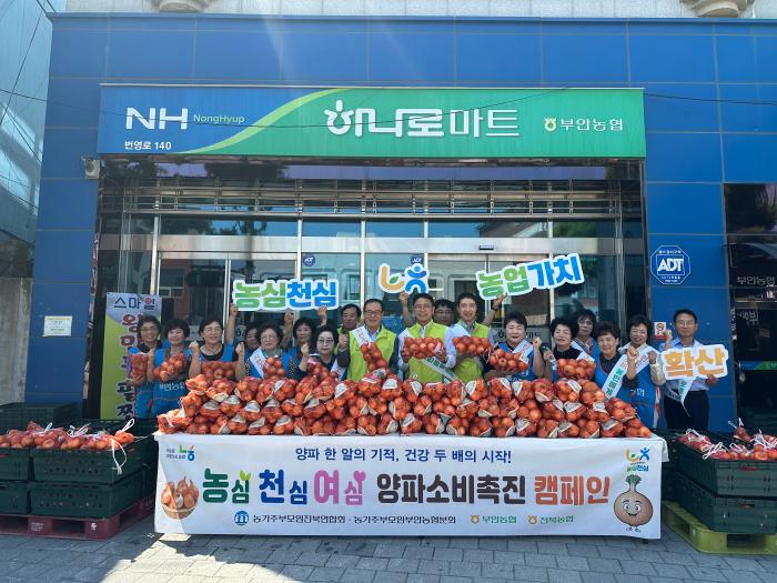 농심천심 양파소비촉진 '女心' 두 팔 걷어 기사 이미지