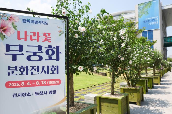 전북도, 광복 81주년 맞이 도청광장서 나라꽃 무궁화 전시 기사 이미지