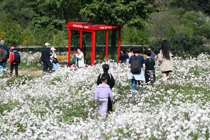 정읍의 가을, 꽃길에서 책길까지…관광·체육·문화 공간 넓힌다 기사 이미지